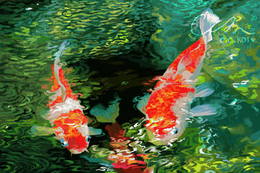 Koi Fish